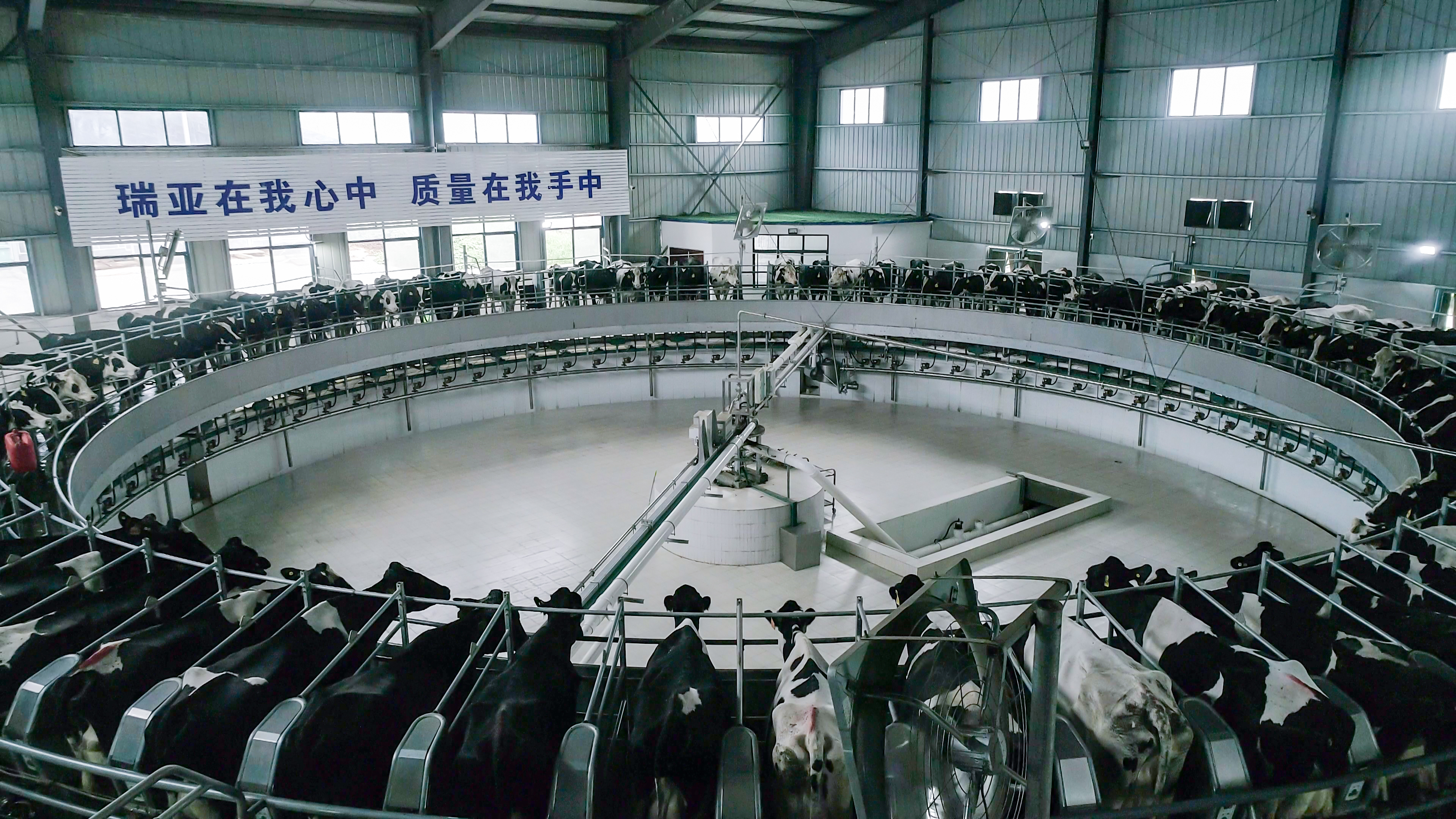 河南省人大常委会党组书记、副主任孔昌生莅临万象城（中国）鲁山瑞亚牧场参观调研