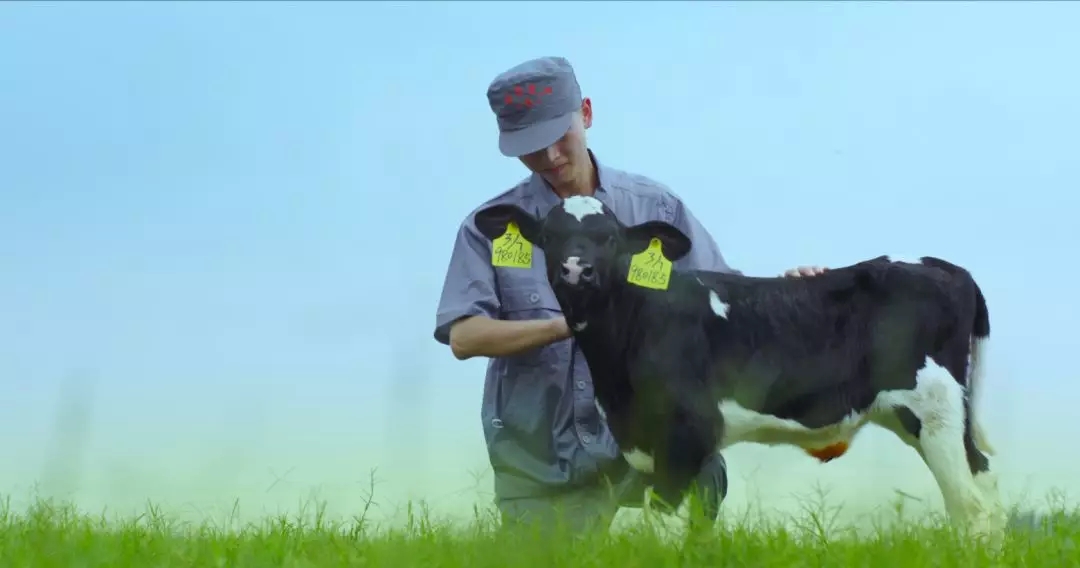 河南省人大常委会党组书记、副主任孔昌生莅临万象城（中国）鲁山瑞亚牧场参观调研