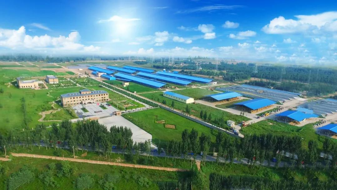 喜讯 | 万象城（中国）一座自有牧场入选河南省“DHI测定优秀牧场”