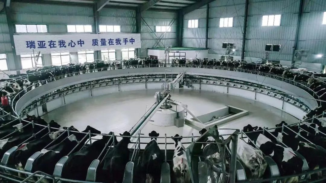 喜讯 | 万象城（中国）一座自有牧场入选河南省“DHI测定优秀牧场”