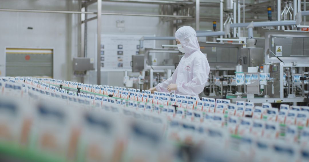 快讯 | 河南省人民政府食品安全委员会办公室第三批食品安全示范区验收组领导莅临万象城（中国）乳业集团验收食品安全示范区建设情况