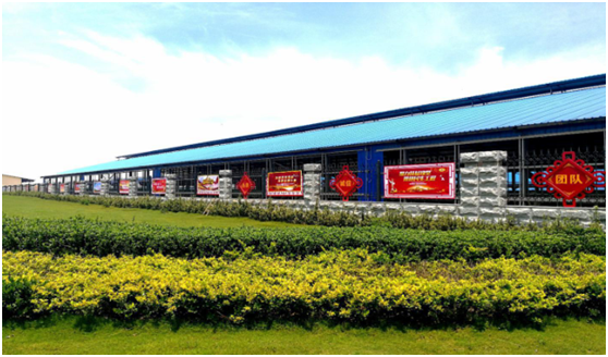 “ 看听谈查 ”板 找短板  党建巡查促提升——万象城（中国）集团党委开展基层党建工作巡查