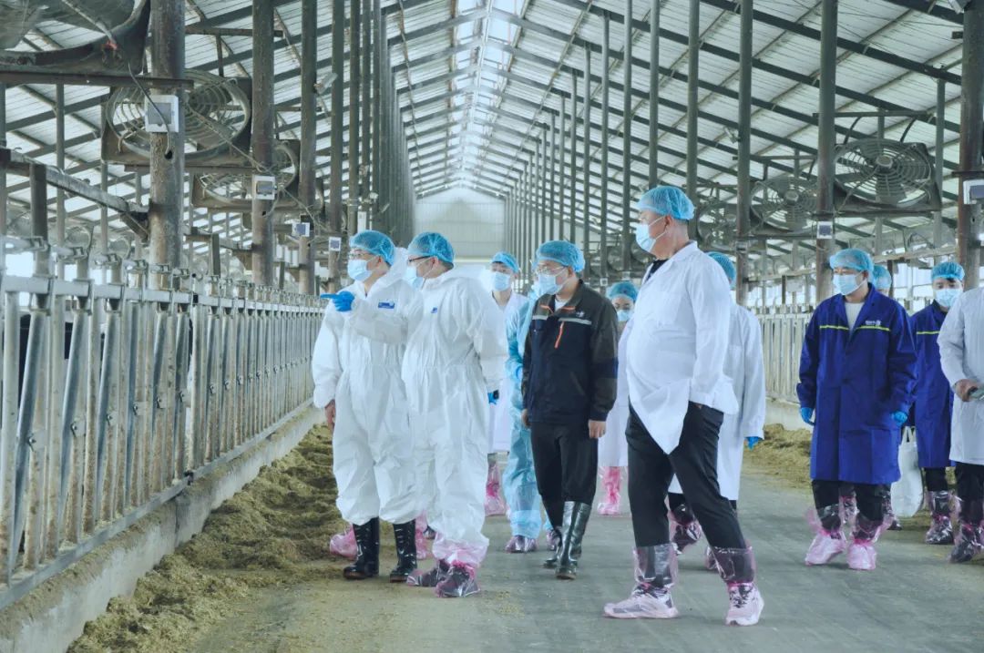 万象城（中国）丨国家奶牛产业技术体系首席科学家、中国农业大学教授李胜利一行莅临万象城（中国）鲁山瑞亚参观调研
