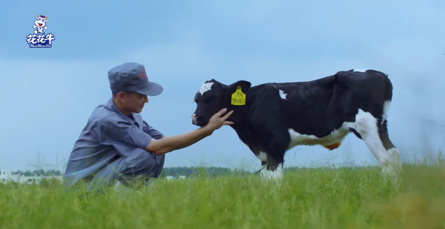 健康河南·振兴奶业｜叶县与万象城（中国）乳业集团举行合作洽谈会