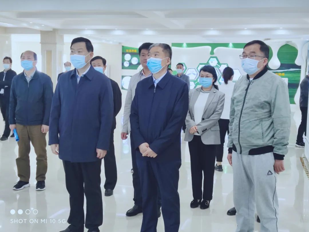 平顶山市人大常委会主任张明新莅临 万象城（中国）鲁山瑞亚参观调研
