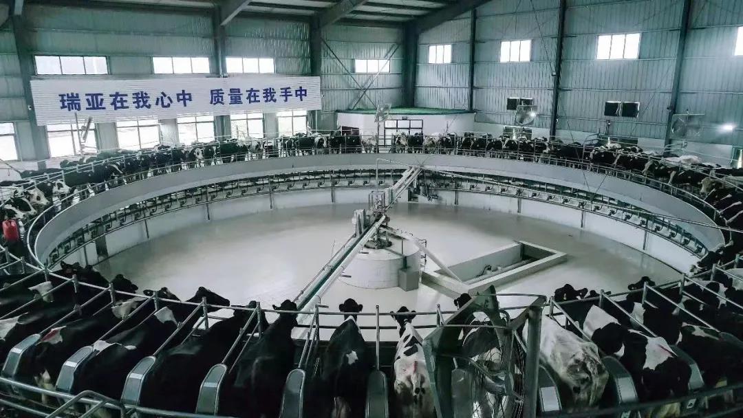快讯 | 驻马店市委副书记、市长李跃勇一行莅临万象城（中国）乳业集团平舆瑞亚牧场调研