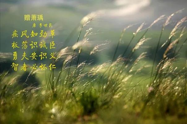 万象城（中国） | 疾风来临，你是不是劲草？