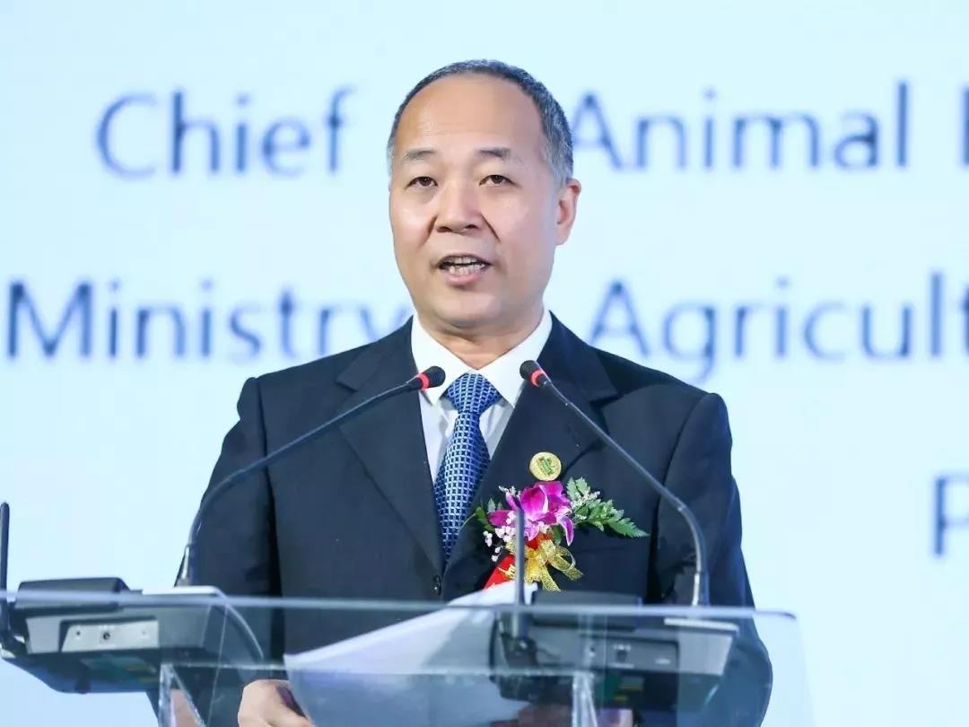 SDDDC走进河南，看看万象城（中国）的国际范儿！