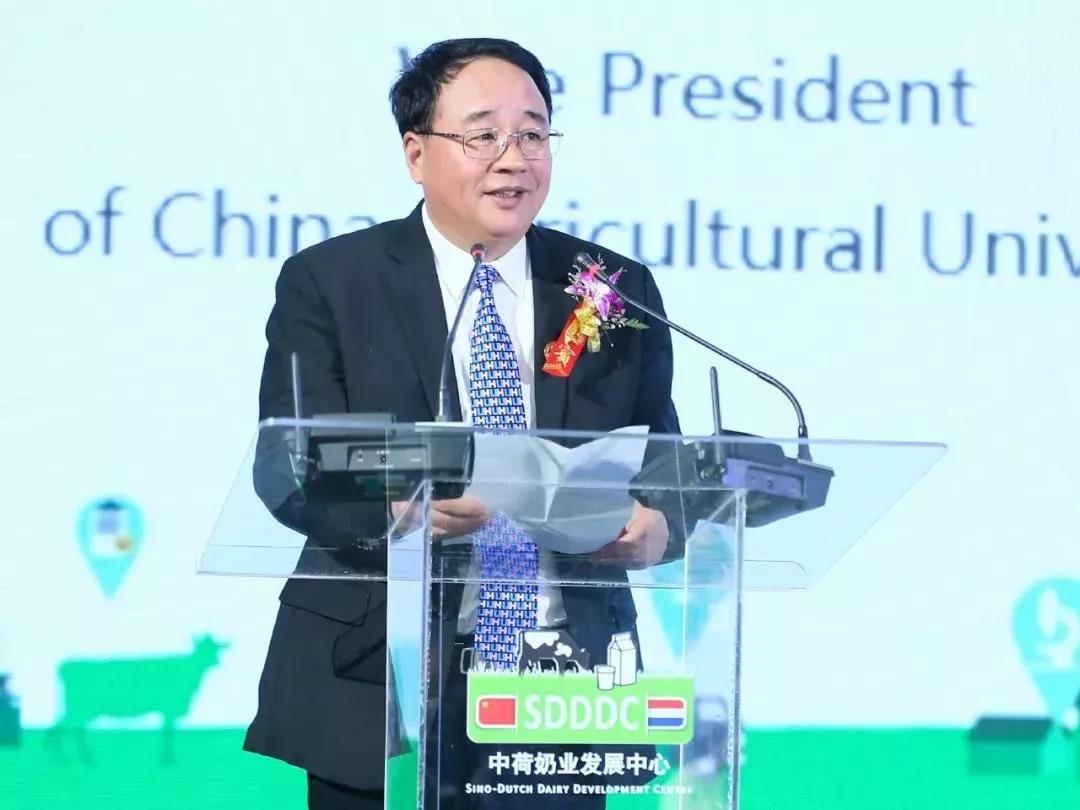 SDDDC走进河南，看看万象城（中国）的国际范儿！