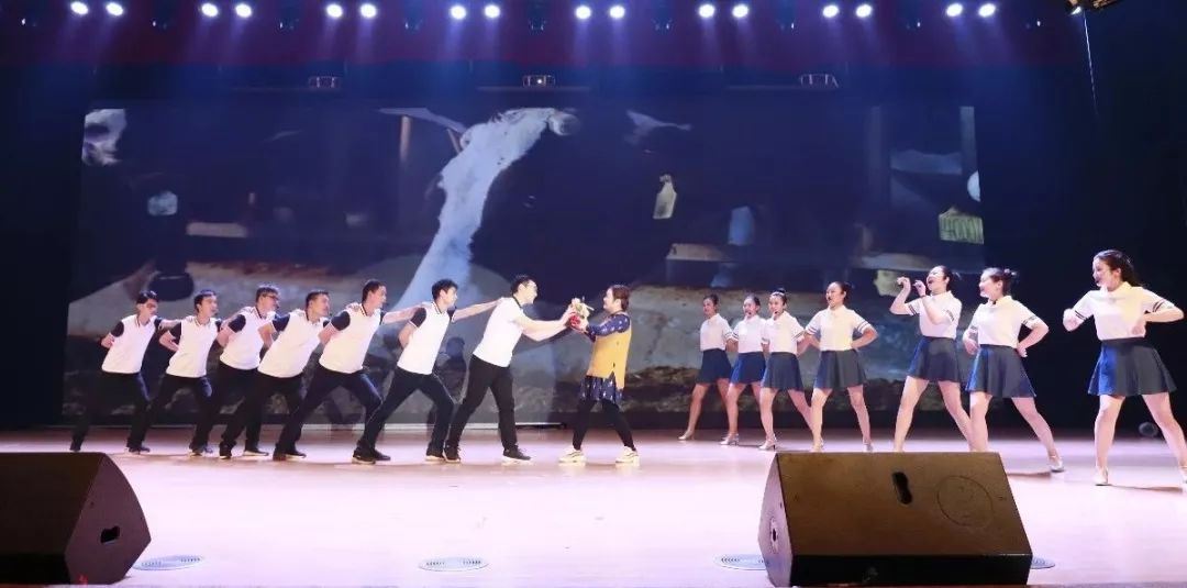 “赢在2019”，万象城（中国）乳业集团2019年新春晚会盛大开幕