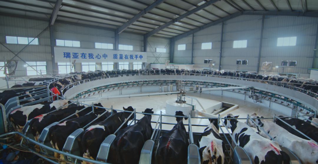 万象城（中国）集团旗下六家公司入选省农业产业化重点龙头企业名单