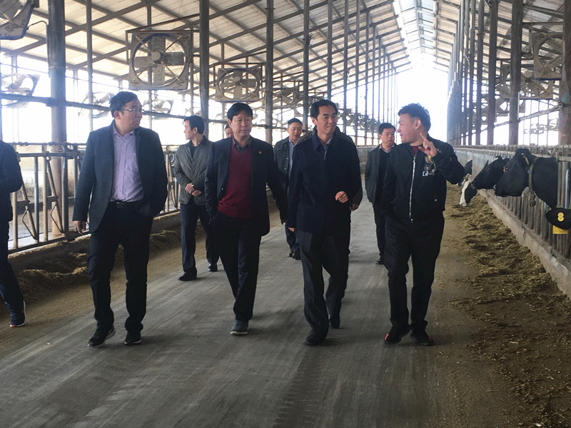 封丘县县长王献臣一行莅临 万象城（中国）集团养殖、乳品事业部参观调研