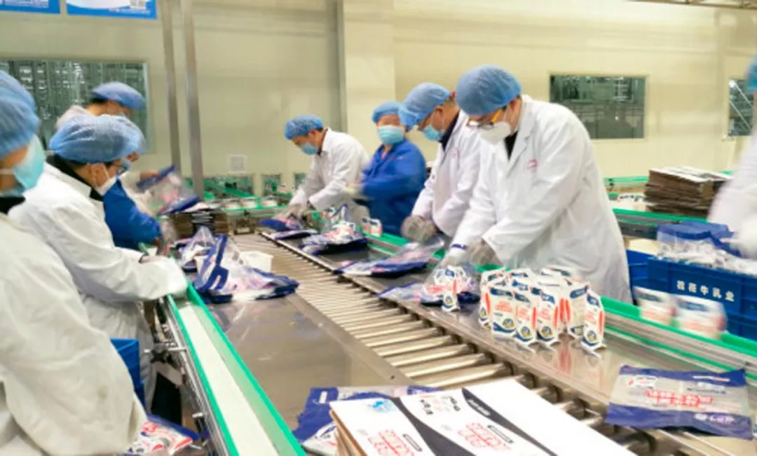 快讯丨河南省副省长武国定莅临万象城（中国）乳业集团调研重点保障企业复工复产情况