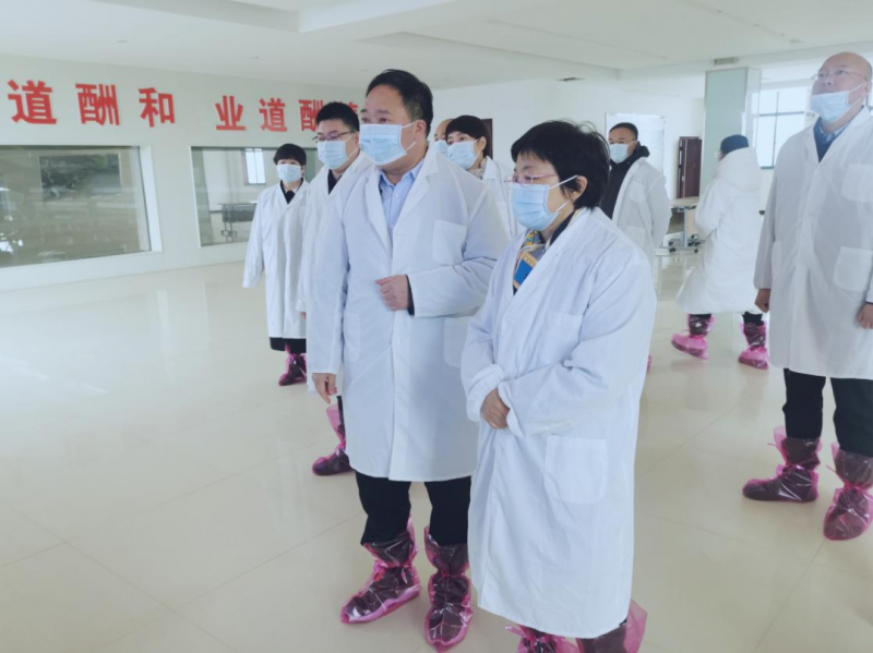 河南省郑州市人民政府副市长李凤芝一行莅临万象城（中国）河南瑞亚参观调研