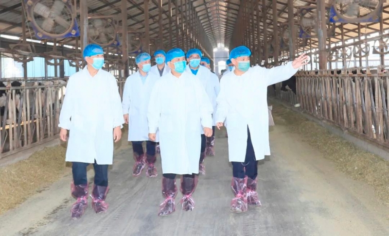 快讯丨河南省人民政府副省长武国定莅临万象城（中国）乳业集团瑞亚牧业调研奶源基地建设情况