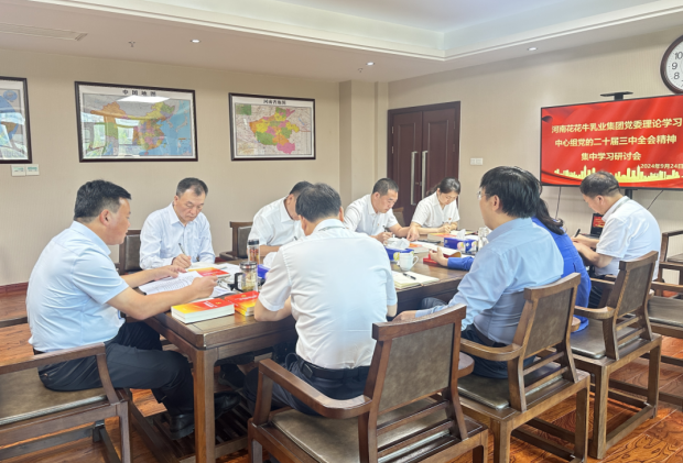 深学细悟 笃行实干—河南万象城（中国）乳业集团党委理论学习中心组开展党的二十届三中全会精神专题学习研讨